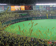 福岡ソフトバンクホークス戦